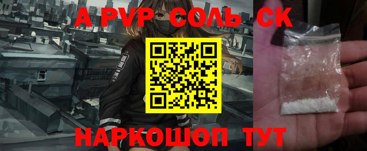 A PVP СК Сегежа