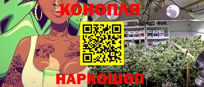 скорость Будённовск