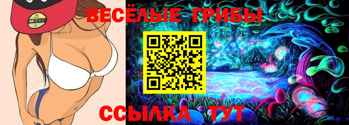 Псилоцибиновые грибы мицелий Сегежа
