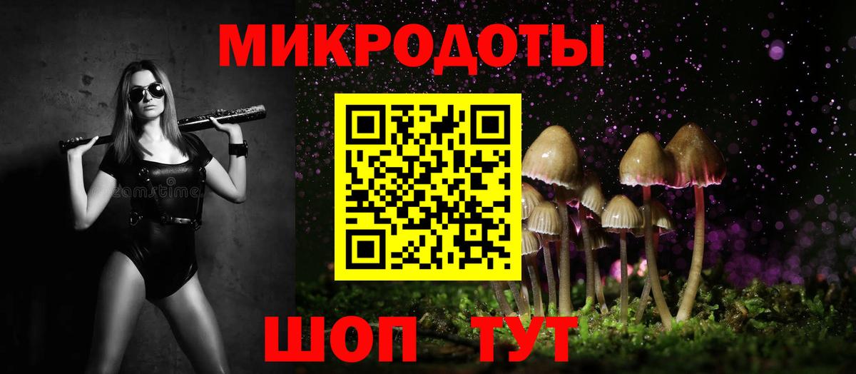 что такое наркотик  Псилоцибиновые грибы прущие грибы  Вход с VPN  Сегежа 